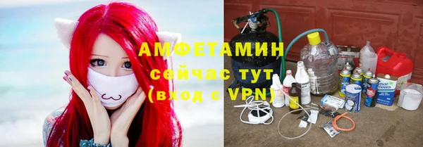 прущие крисы Белокуриха
