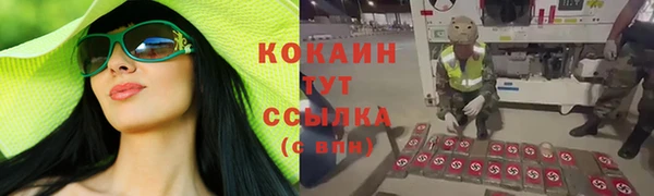 прущие крисы Белокуриха