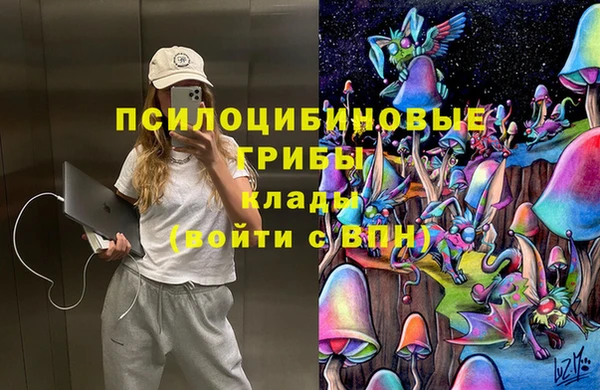 прущие крисы Белокуриха