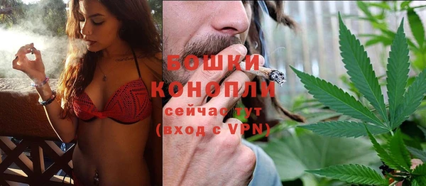 прущие крисы Белокуриха