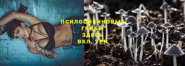 прущие крисы Белокуриха